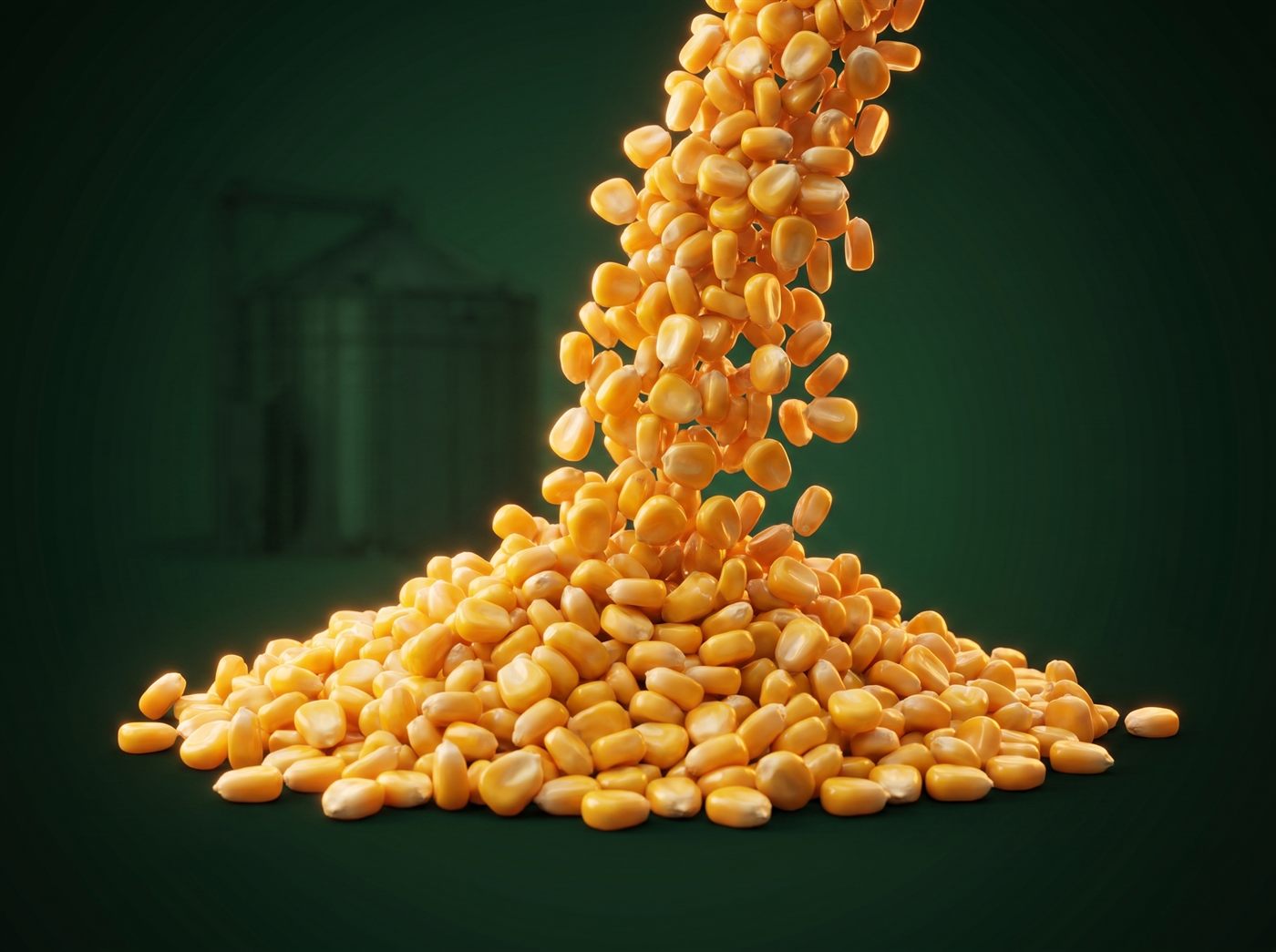 Bulk Yellow Corn